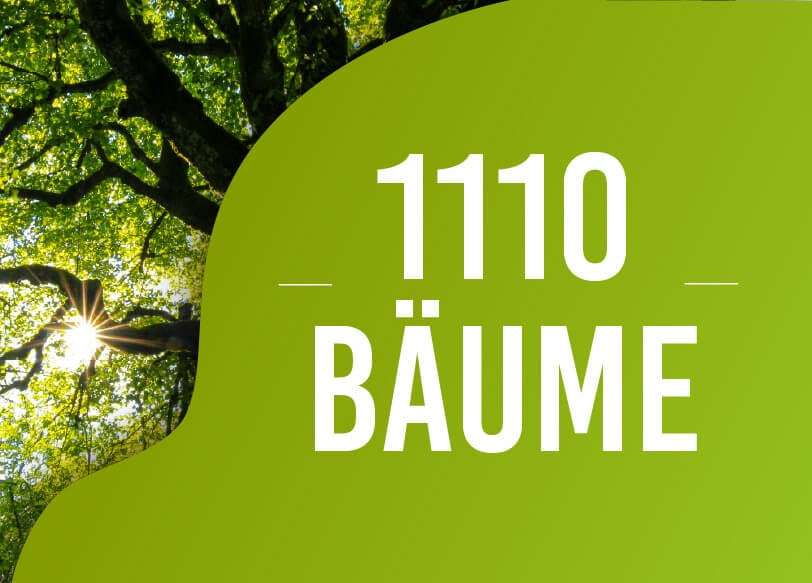 Tag des Baumes - Studibuch macht mit!
