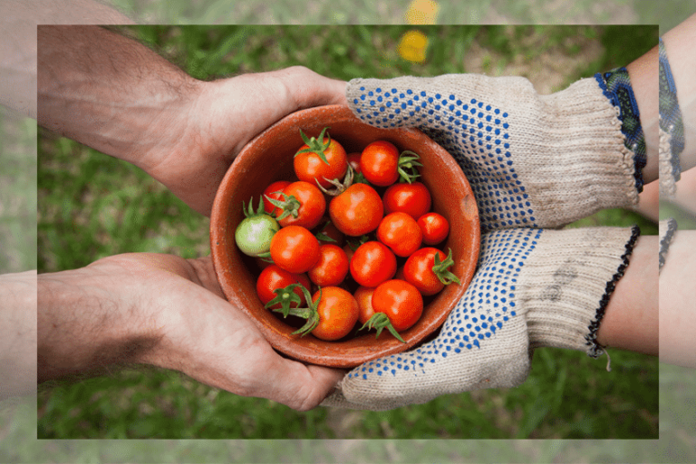 Foodsaver werden Studibuch Magazin