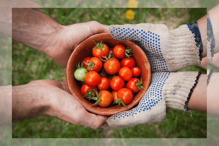 Foodsaver werden Studibuch Magazin