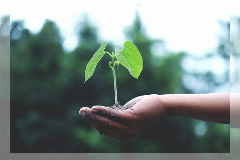 Nachhaltig durch den Alltag