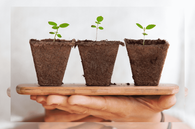 Nachhaltig leben im Studium 7 Low Budget Tipps