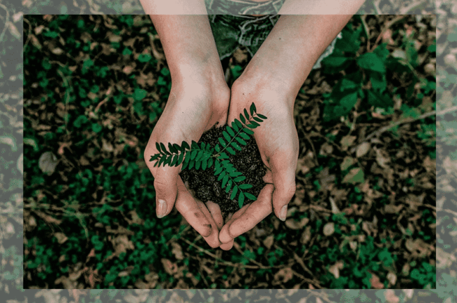 Nachhaltigkeitstage Baden-Württemberg Studibuch Magazin