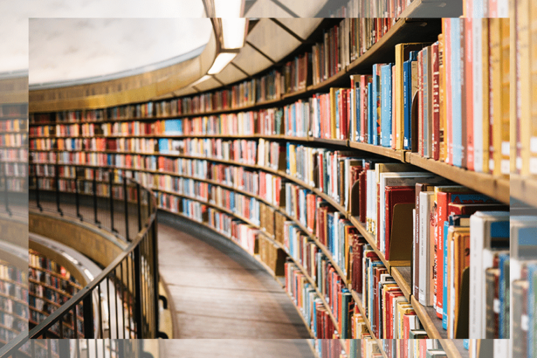 Seltene Studiengänge Bibliotheks und Informationsmanagement