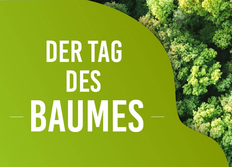 Tag des Baumes - Studibuch macht mit!