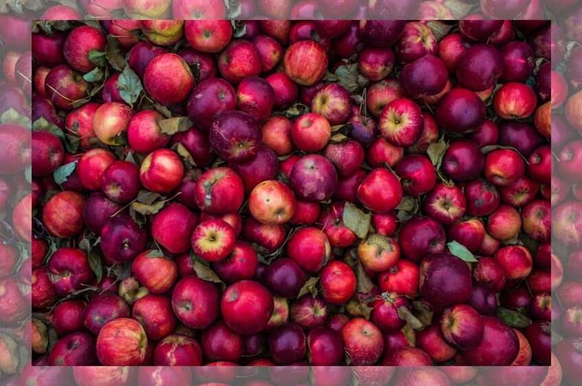 lebensmittelverschwendung lebensmittelverschwendung