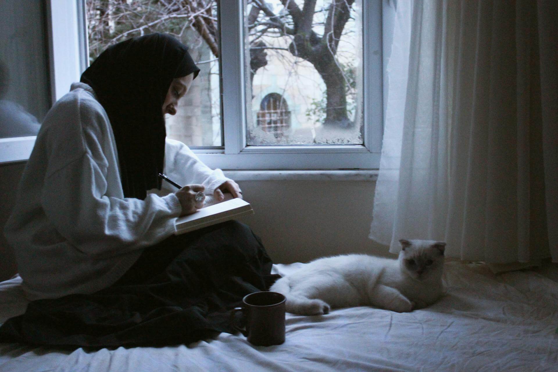 study with cat